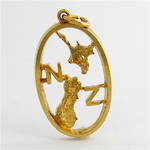 9ct yellow gold NZ charm